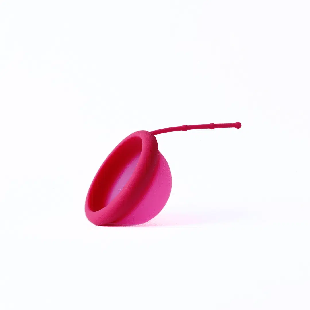 Kit Individual Disco Menstrual Aletse's - Imagen 9